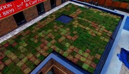 Instant Green Roof - Wimbledon - Care Home - M-Tray®