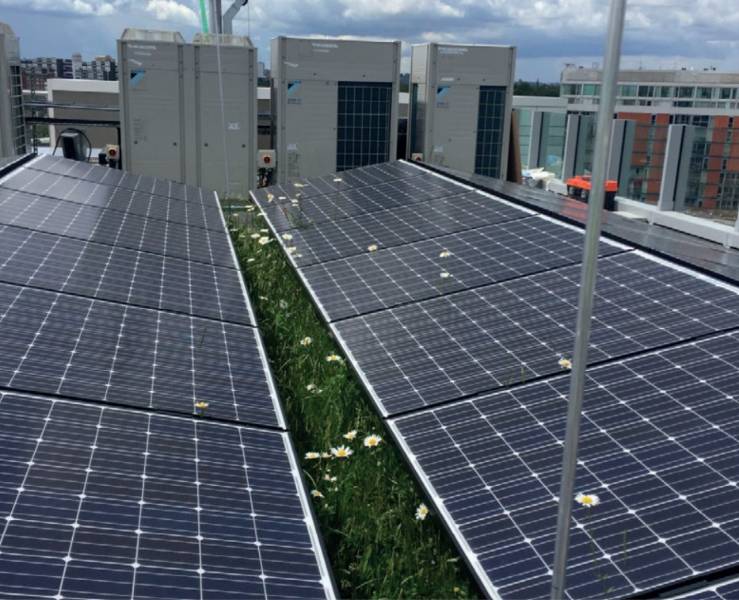 Bio-Solar – Pro-Living® System - Bio-Solar Roof System