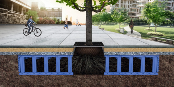 Et rotkammersystem for planting av trær i urbane områder