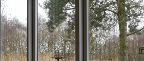 Specialglas - Pilkington AviSafe™