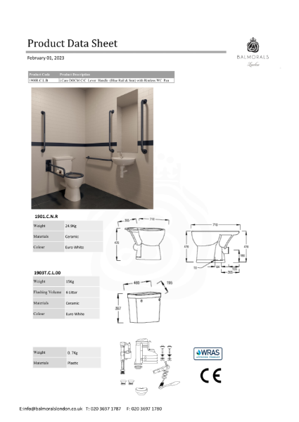 i.Care DOCM C/C Lever Handle (Blue Rail & Seat) with Rimless WC Pan