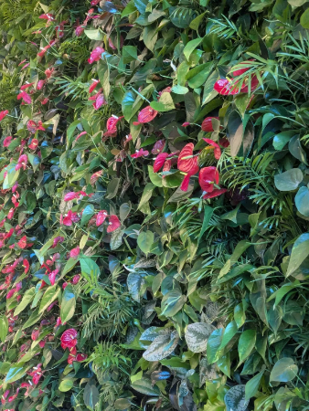 Bruntwood SciTech Bright Building Internal Living Wall