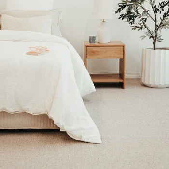 Hause - Carpets