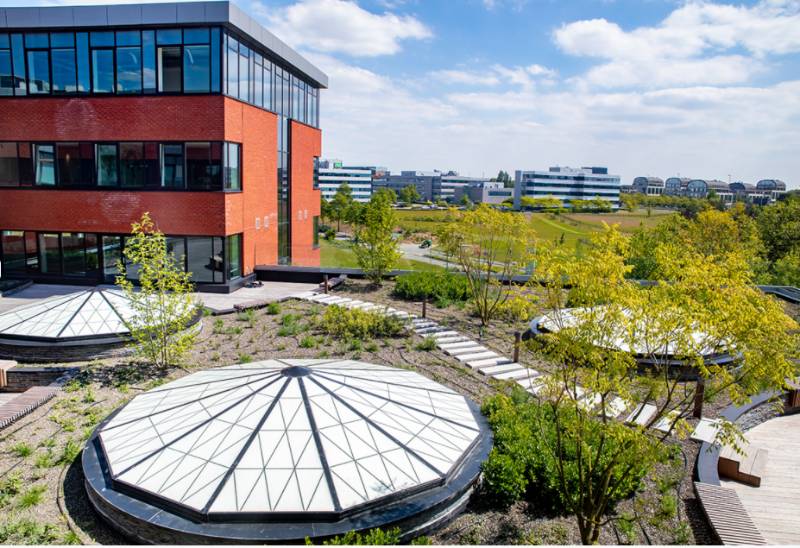 Rooflight and roof window systems