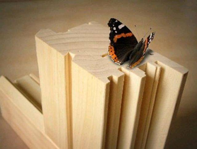 Accoya® Modified Wood FSC - Wood sections