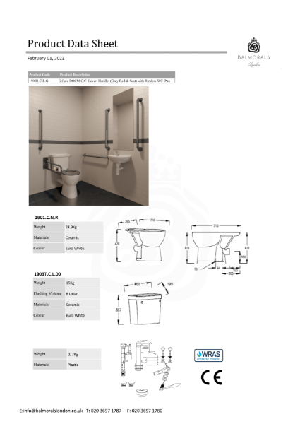 i.Care DOCM C/C Lever Handle (Grey Rail & Seat) with Rimless WC Pan