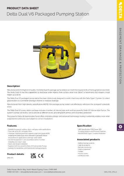 Delta Dual V6 Packaged Pump Station