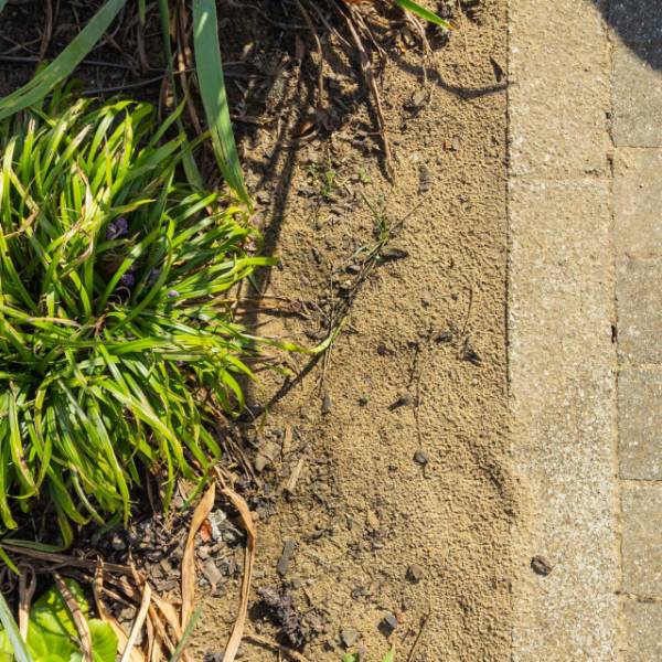 Bioretention Soil