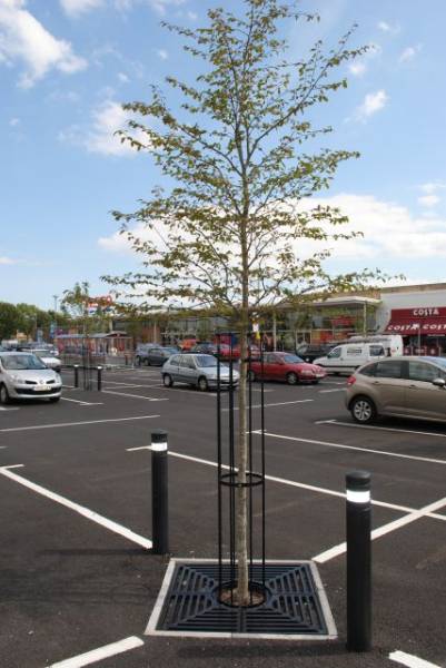 gt Dales Collection Tree Guards