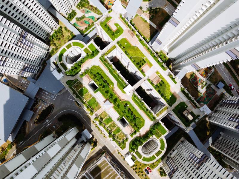 Green Roofs - Advantages and Principles of Design