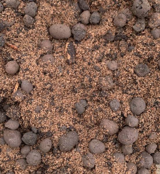 Proteus Pro-Living® Substrate - Biodiverse