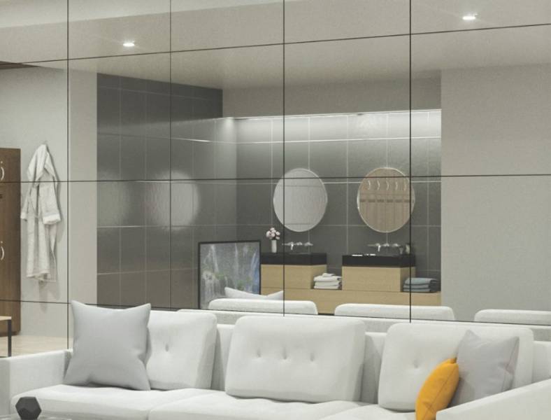Guardian UltraMirror®  - Mirror