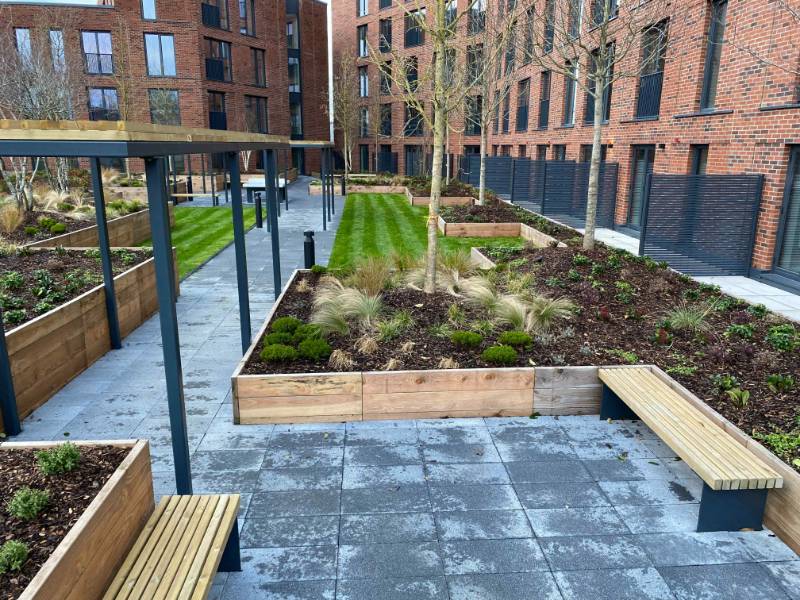 Green-tree substrate supplied for city centre development