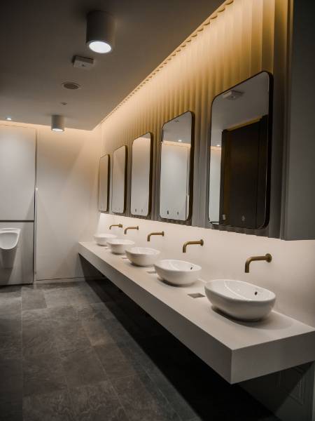 Xeista Caustora Vanity 