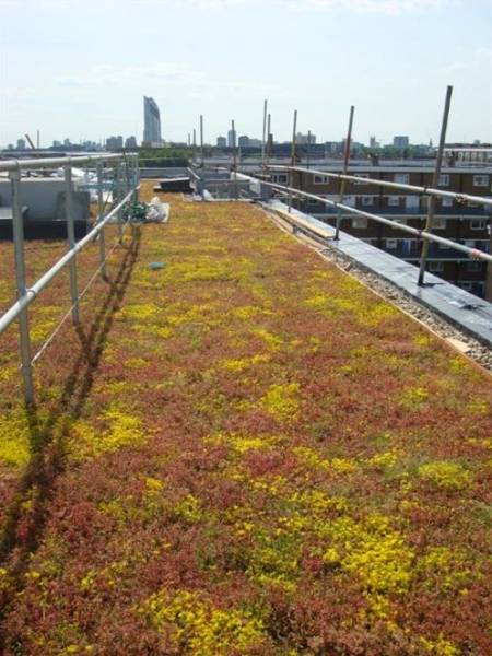GT Extensive Roof Garden Substrate - Topsoil Blend