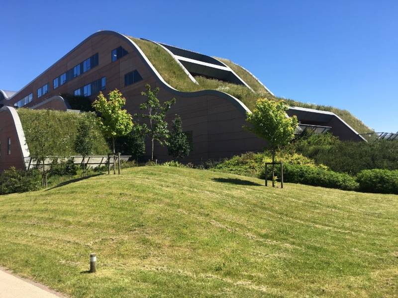 Green Roof, Extensive, Alder Hey Children's Hospital, Liverpool, UK