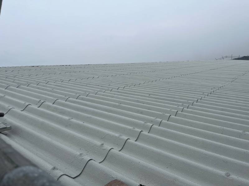 Delcote® Architectural Roof Coating for Asbestos and Fibre Cement Roofs (25 year)