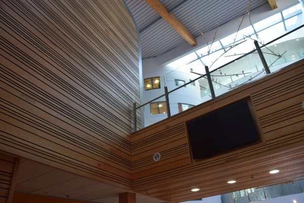 Clear Douglas Fir Cladding 