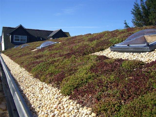 Topseal GreenTop System - Fibreglass flat roof for a green roof 