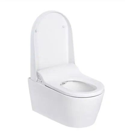 Geberit AquaClean - Aquaclean Sela