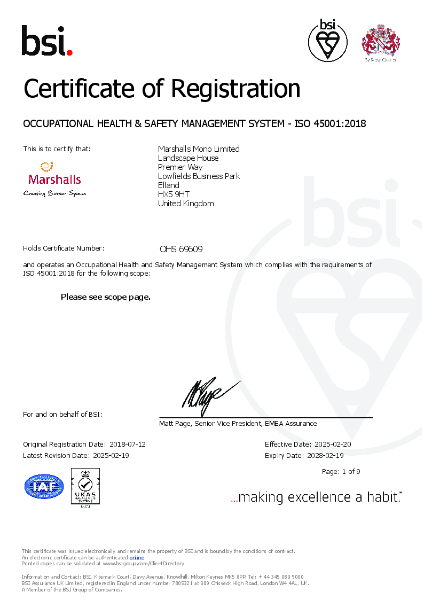 BSI ISO 45001: Occupational Health and Safety Management 2025-28