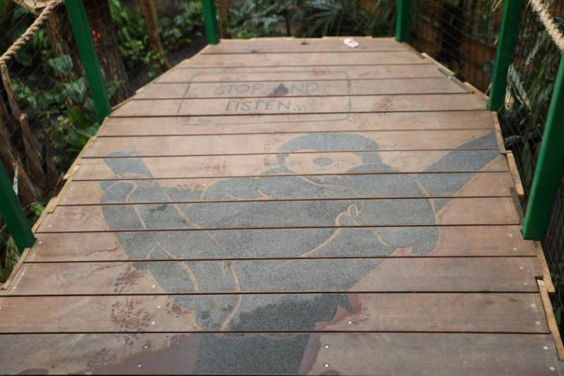 Edinburgh Zoo | Non-Slip Bamboo Decking Case Study