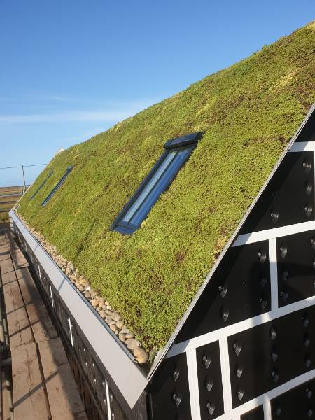 47° Pitched Green Roof