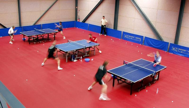 Taraflex® Table Tennis 4.5 - Sheet