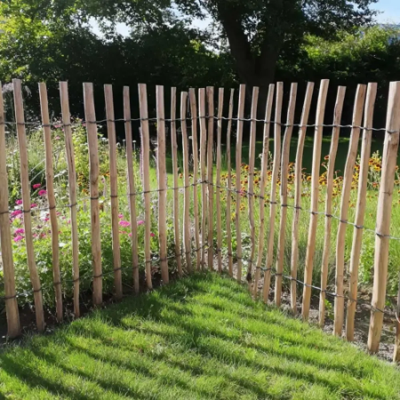 Chestnut Paling Fencing