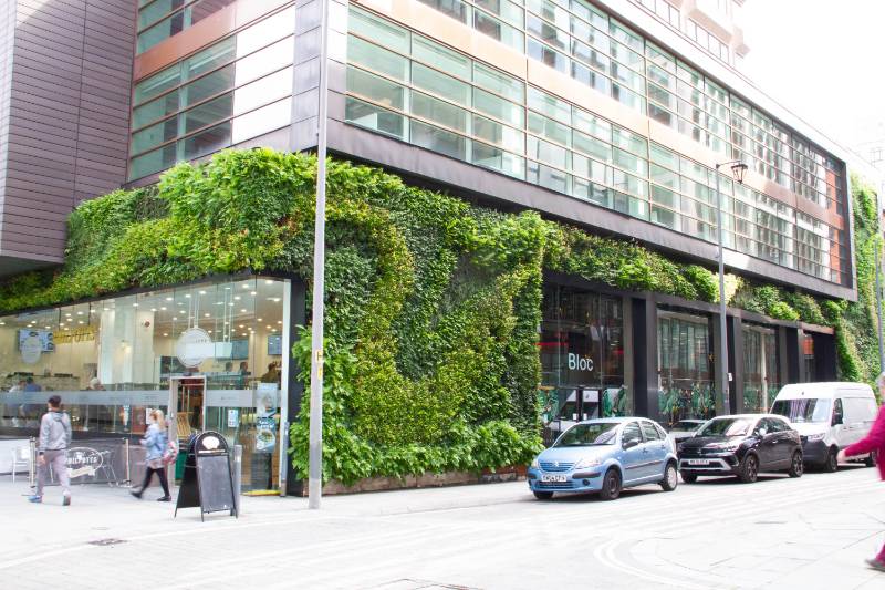 HYVERT - Cavity / Cement board Fixing Detail  - Living Wall System