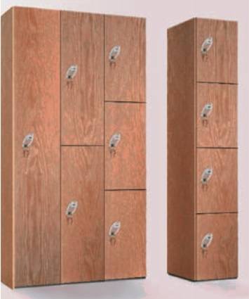 Dry Area Lockers - Steel Carcass with Timber Faced Doors