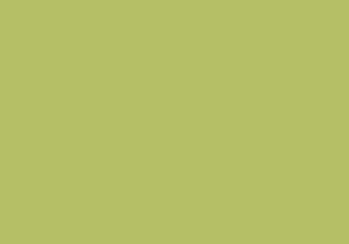 Interiørpaneler - Max Decorative Laminates - HPL Brown Core 0024 Vivo FH Fine Hammer Embossed