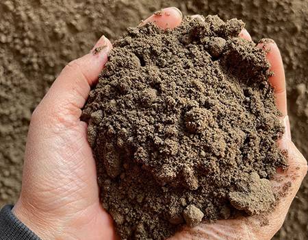 Topsoil Analysis Report: Landscape 20, Wissington