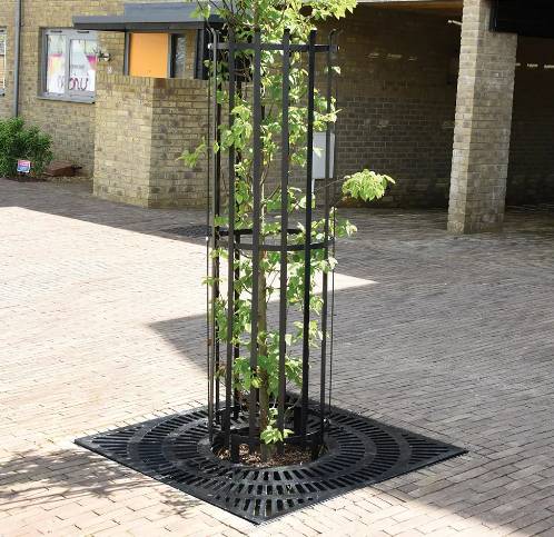 Carbon Steel Poplar Tree Guard