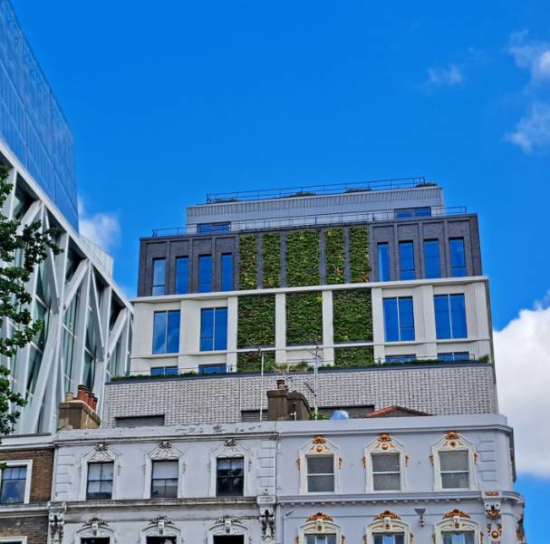 Roof top living walls for a commercial development in Moorgate