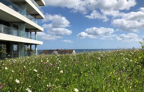 Designing for a sustainable future: Green roofing solutions