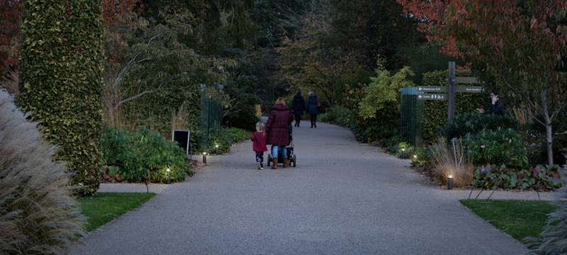 RHS Garden, Wisley (2019)