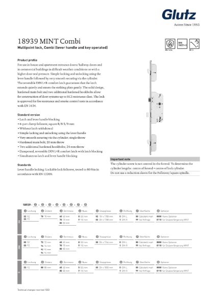 18939 MINT Combi with Hook Bolts