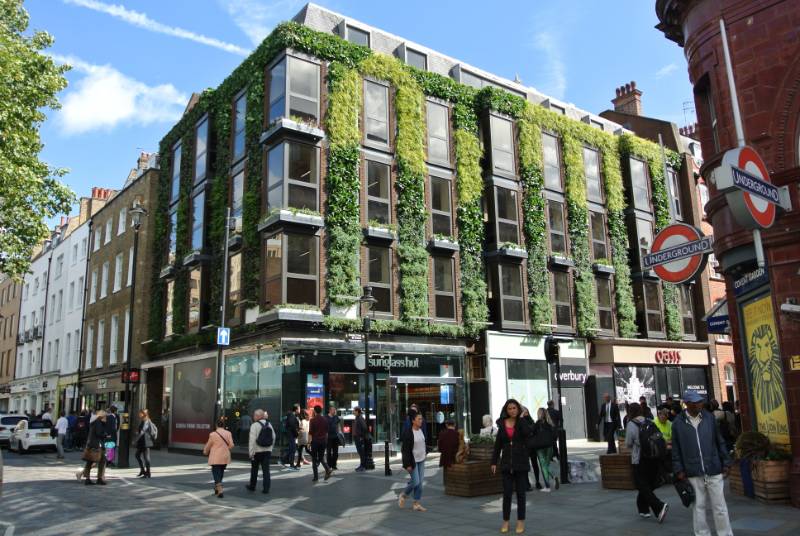 Covent Garden Living Wall