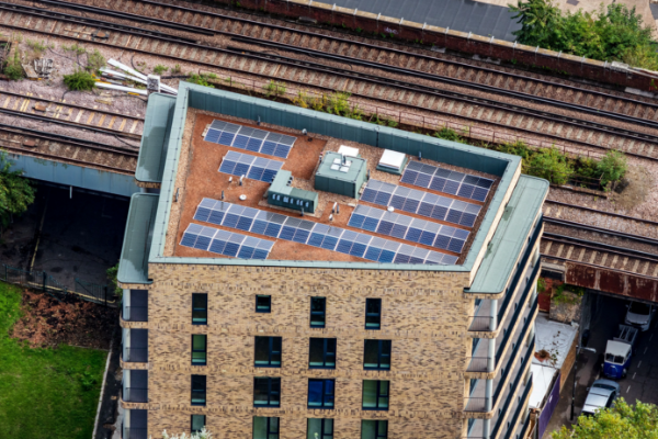 Pelier Street - Integrating biodiverse and solar roofing within urban council housing.
