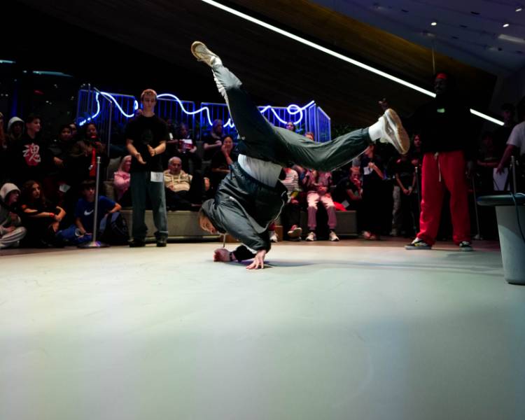 Harlequin FreeStyle™ - Dance and Performance Vinyl