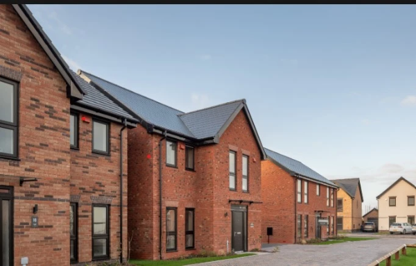Jutland slates - Roof Slate