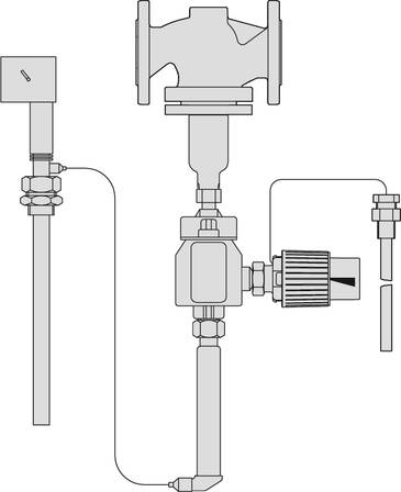 2 Port Temperature Controller - Flanged 2422 - Temperature Regulator/ Limiter