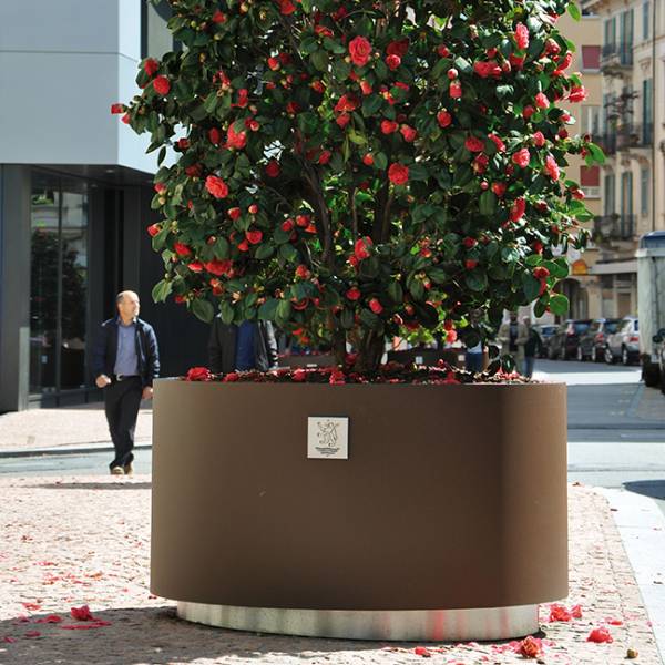 Aster Planter
