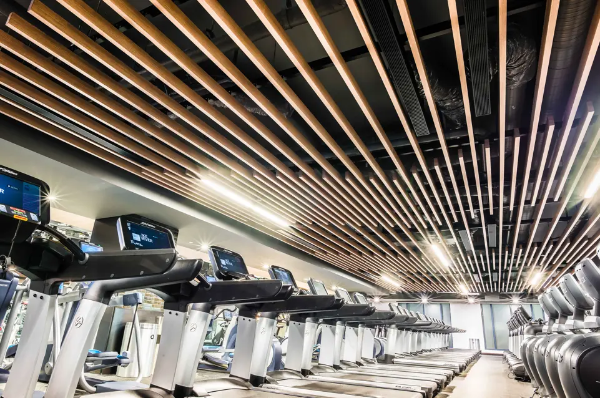Dauntless Ceiling System - Baffle Suspended Ceiling System