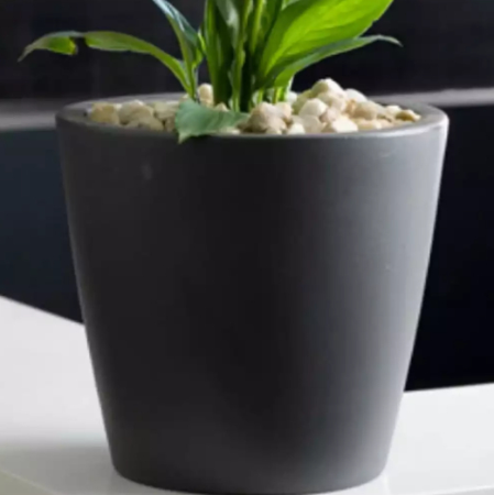 Planting and landscape