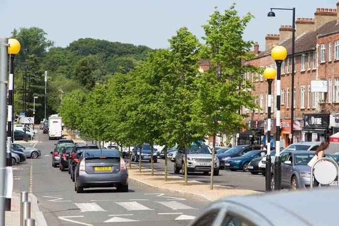 Northwood Hills Regeneration