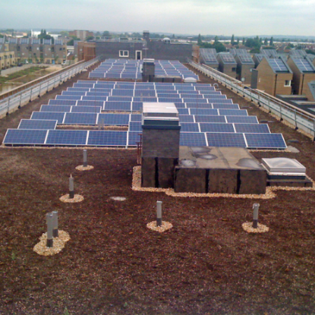 SIG Built Up Green Roof System
