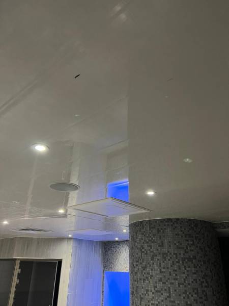 Hygienic PVC Ceiling panels