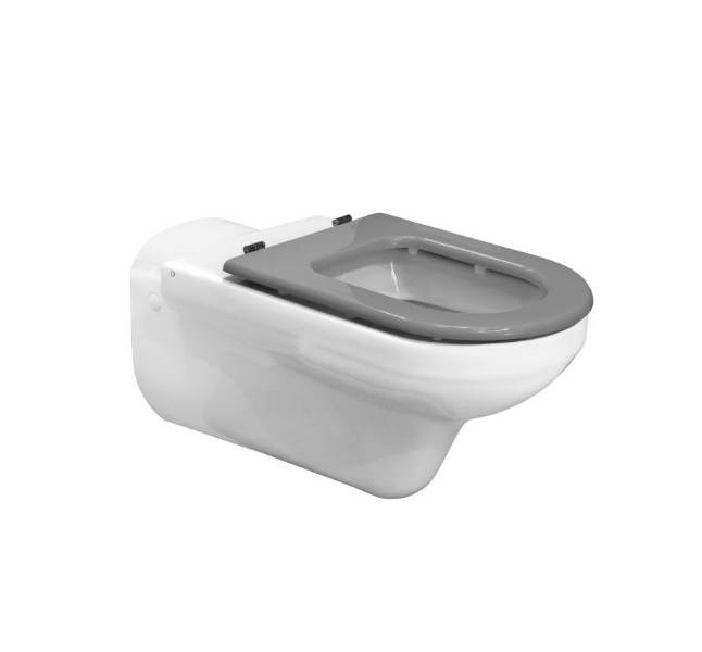 Dolphin Wall Hung Doc M WC Pan and Seat 